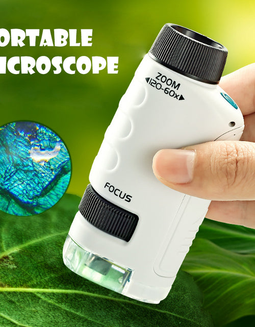 Load image into Gallery viewer, Kids Pocket Microscope
